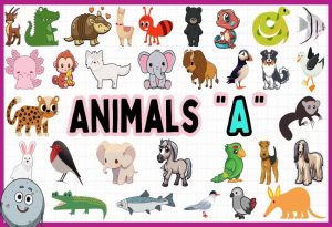 Animals That Start with A