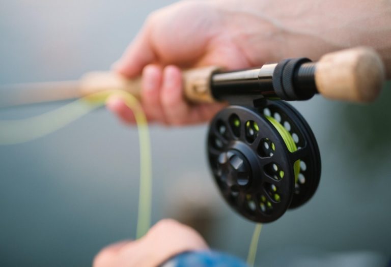 Essential Gear for a Successful Fly Fishing Trip
