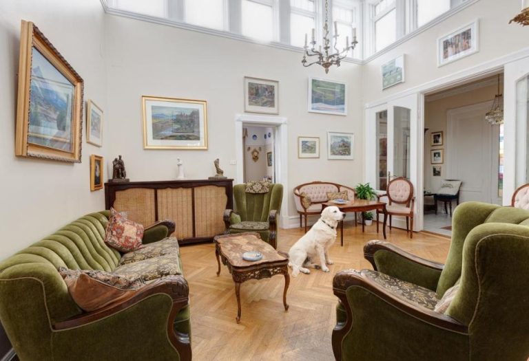 Exploring Adelaide: Top Pet-Friendly Accommodation Options