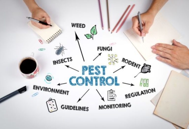 Important Reasons for a Business Property Owner to Use a Pest Control Management Team