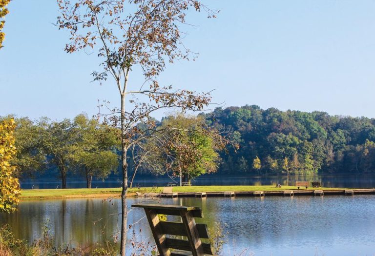 Land Between the Lakes: One of America’s Natural Wonders Where History Meets The Great Outdoors
