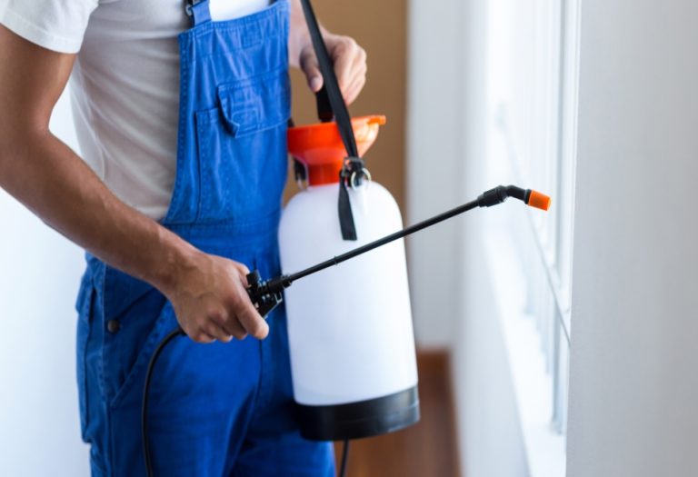 Effective Pest Control Strategies for Nowra Homes