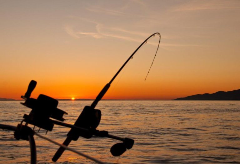 Making the Most of Your Time on the Water: A Beginner’s Guide