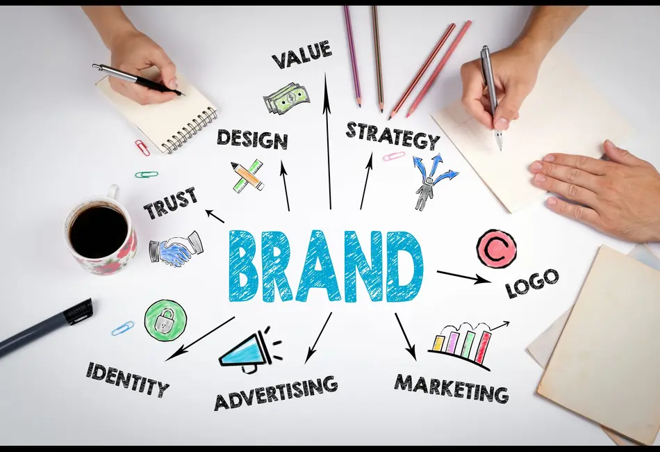 Lifestyle Brands Shape