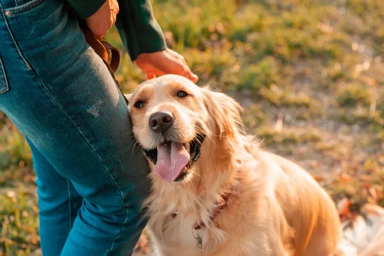 Animal-Themed Slang Words and Their Meanings